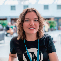 WordPress без тормозов — за рулем разработчик